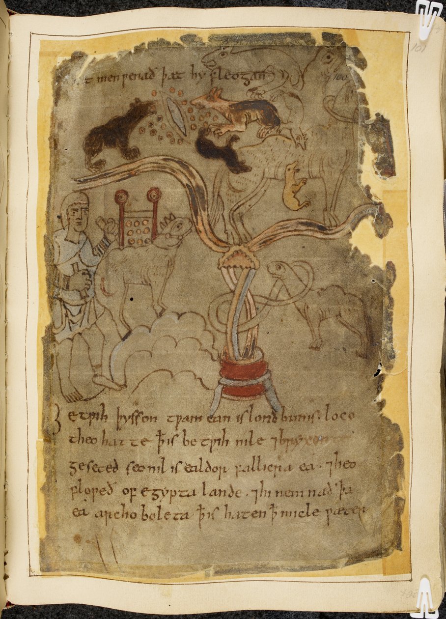 Cotton Vitellius A. XV, f.101r, Trzy psiopodobne mrówki atakujące wielbłąda na uwięzi, mężczyzna w tunice, ilustracja z Beowulfa, z „Kodeksu Newella” (tusz na pergaminie) autorstwa English School