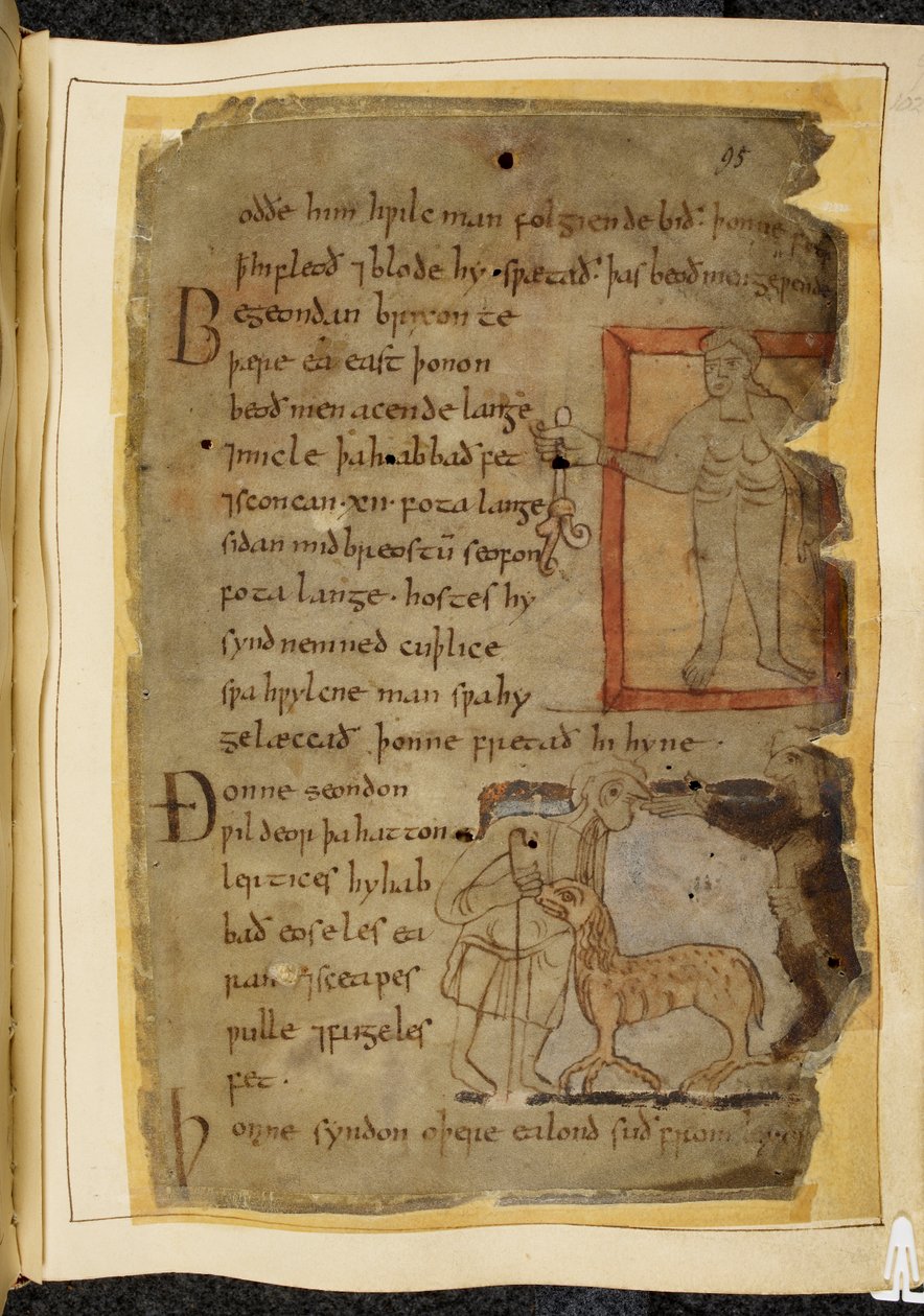Cotton Vitellius A. XV, f.102, Nagi mężczyzna trzymający roślinę; dwóch rozmawiających mężczyzn, a między nimi lertix, bestia podobna do owcy, ilustracja z Beowulfa, z „Kodeksu Newella” (tusz na pergaminie) autorstwa English School