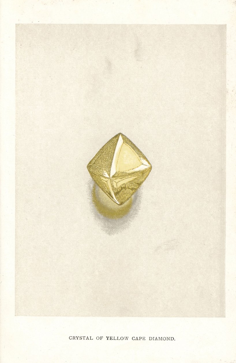 Kryształ żółtego diamentu Cape, z „Precious Stones and Gems” Edwina Streetera, Londyn, George Bell & Sons autorstwa English School