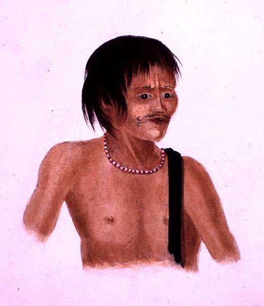Demerara (akwarela na papierze) autorstwa English School