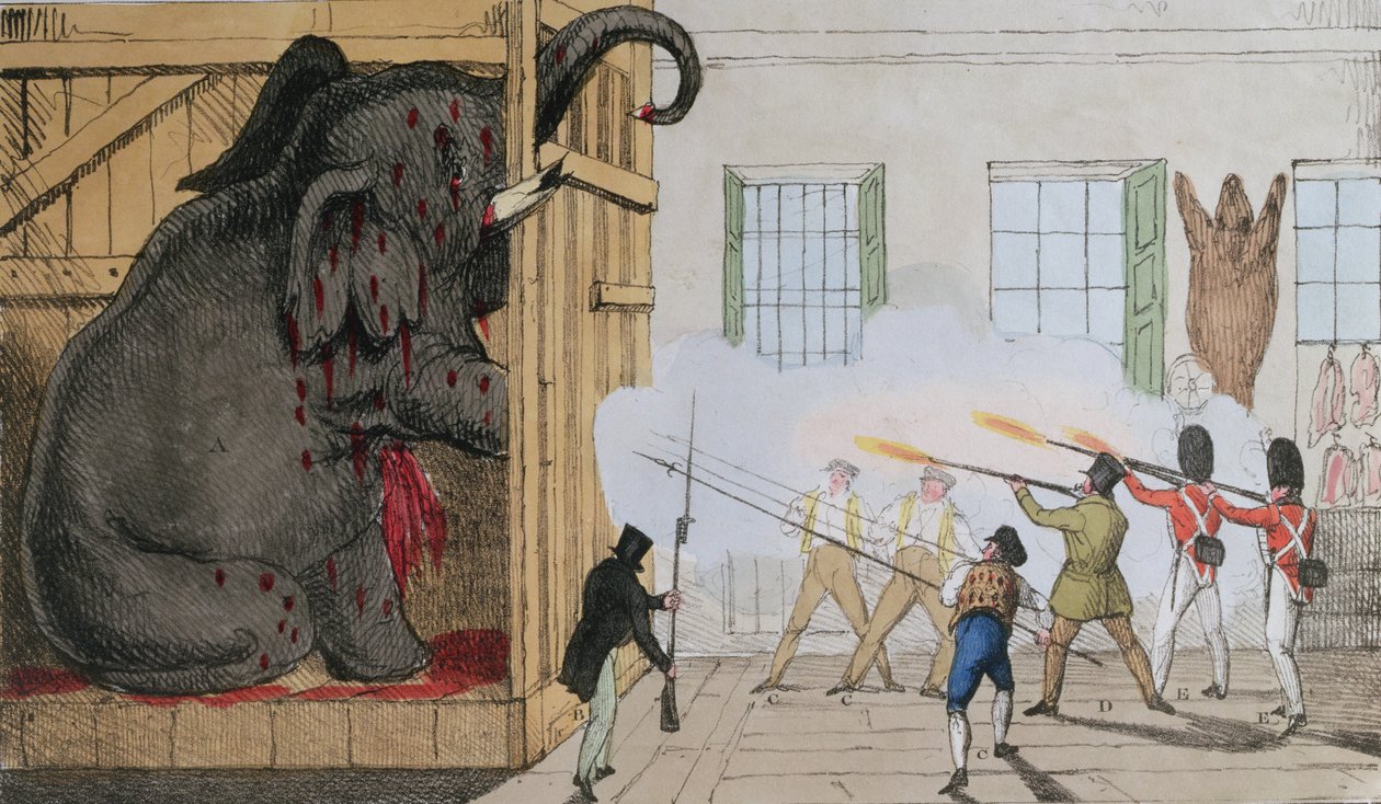 Zniszczenie szlachetnego słonia w Mr Crosss Exeter Change, 1826 autorstwa English School