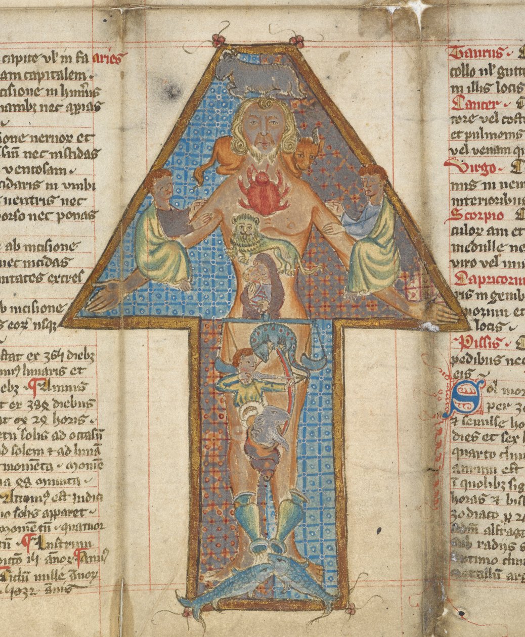 Fragment Zodiac Man, ilustracja ze „Składanego Almanachu Lekarza”, autorstwa Roberta Grosseteste autorstwa English School