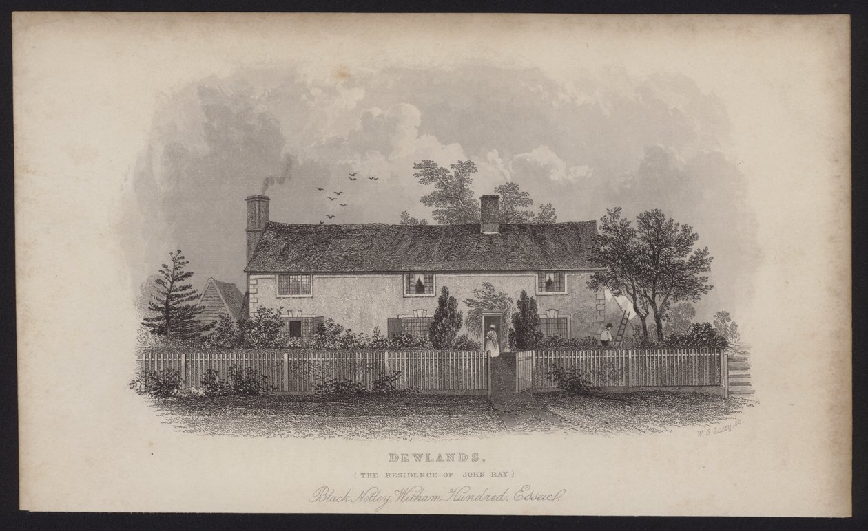 Dewlands, rezydencja Johna Raya, Black Notley, Witham Hundred, Essex (rycina) autorstwa English School