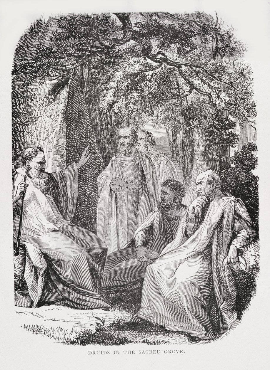 Druidzi w Świętym Gaju, z Historii Francji, Emile de Bonnechose, wydanej przez Ward, Lock and Co, Londyn autorstwa English School