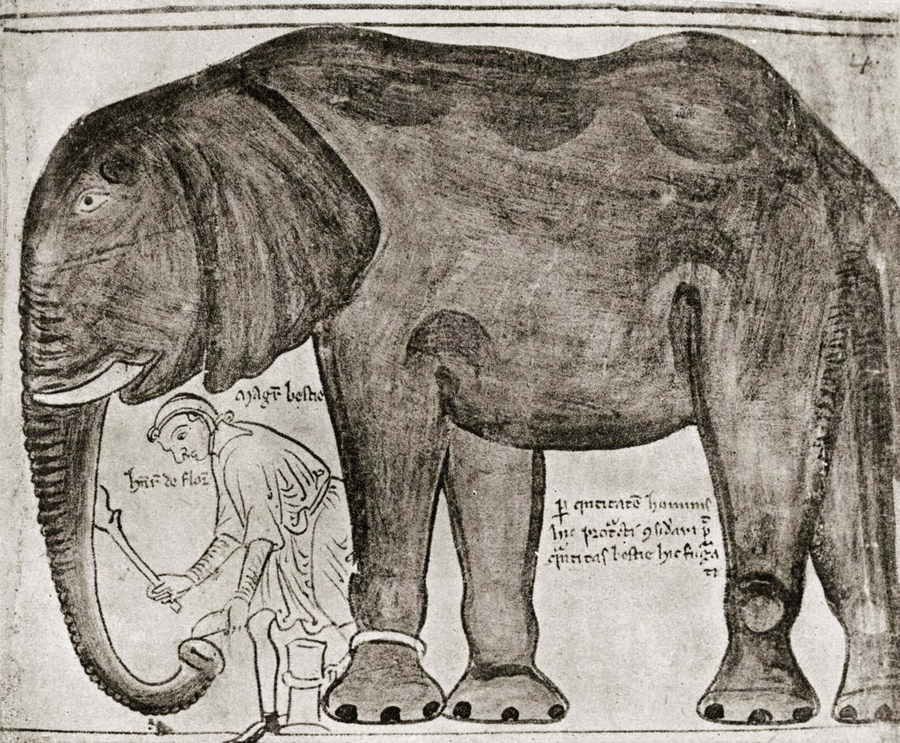 Słoń wysłany przez św. Ludwika do Henryka III, z "Historia Major", reprodukowany w "English Historians autorstwa English School