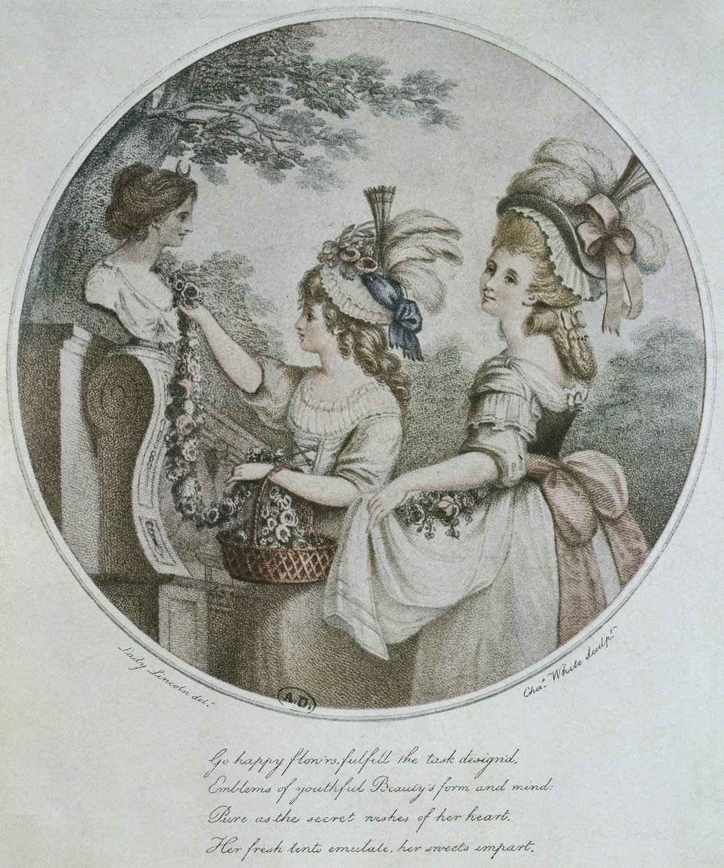 Fryzury angielskie grawerowane przez Charlesa White