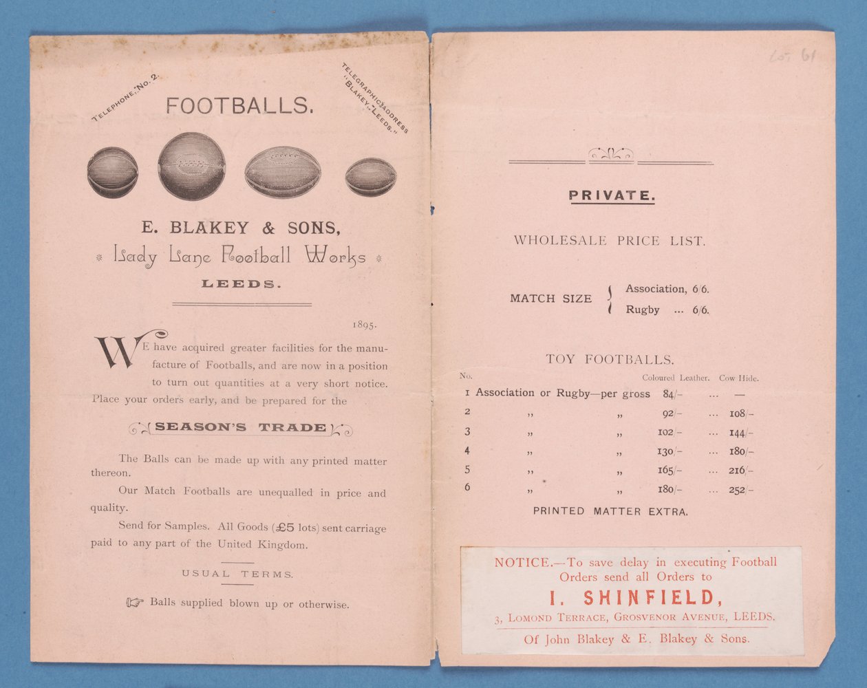 Katalog urządzeń wyprodukowany przez E. Blakey & Sons, 1895 autorstwa English School