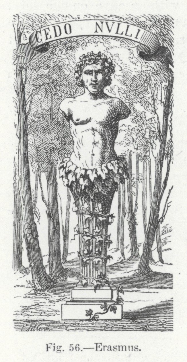 Erasmus (rycina) autorstwa English School