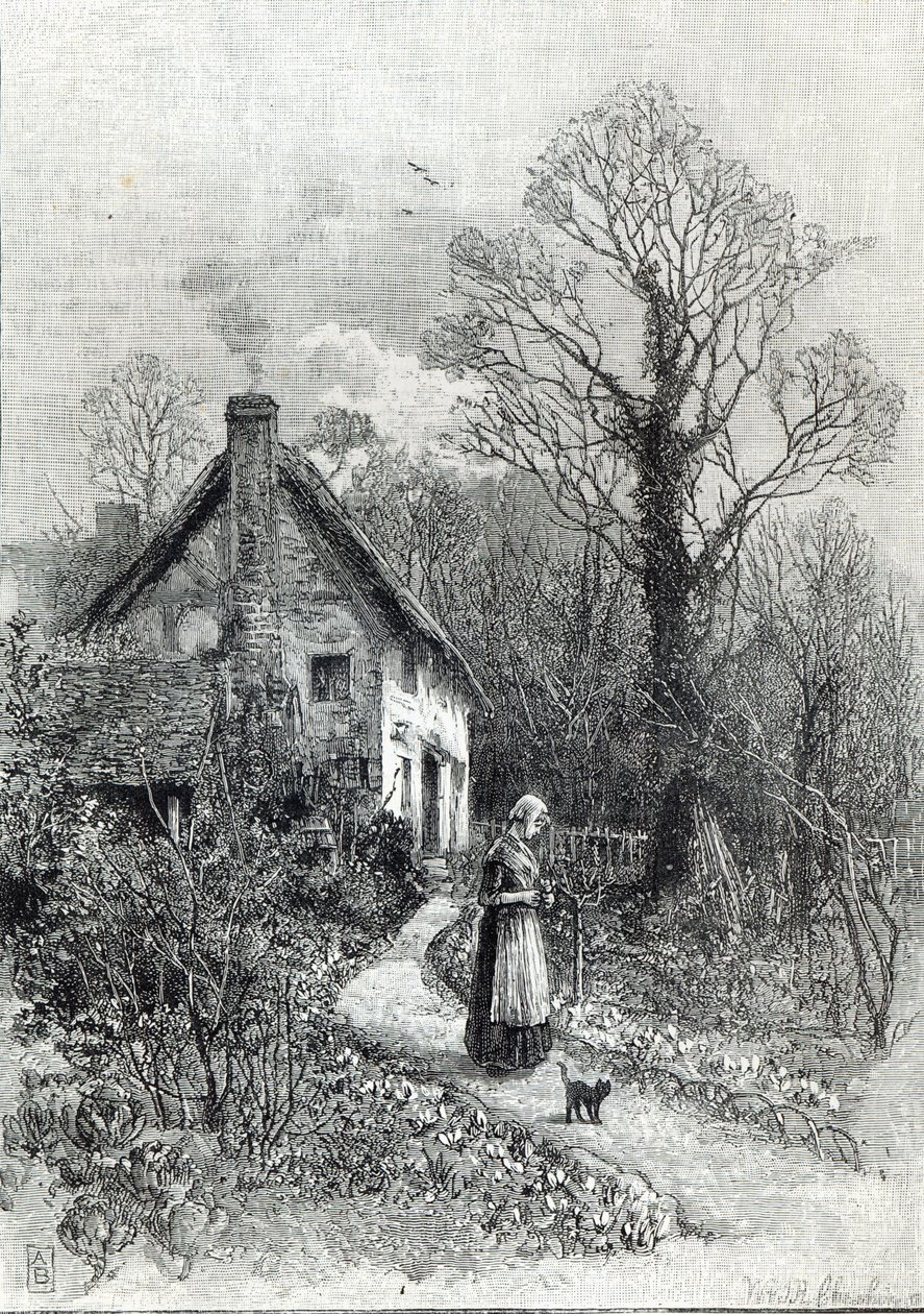 Pierwsze kwiaty, z „Godziny wypoczynku”, 1888 r. autorstwa English School