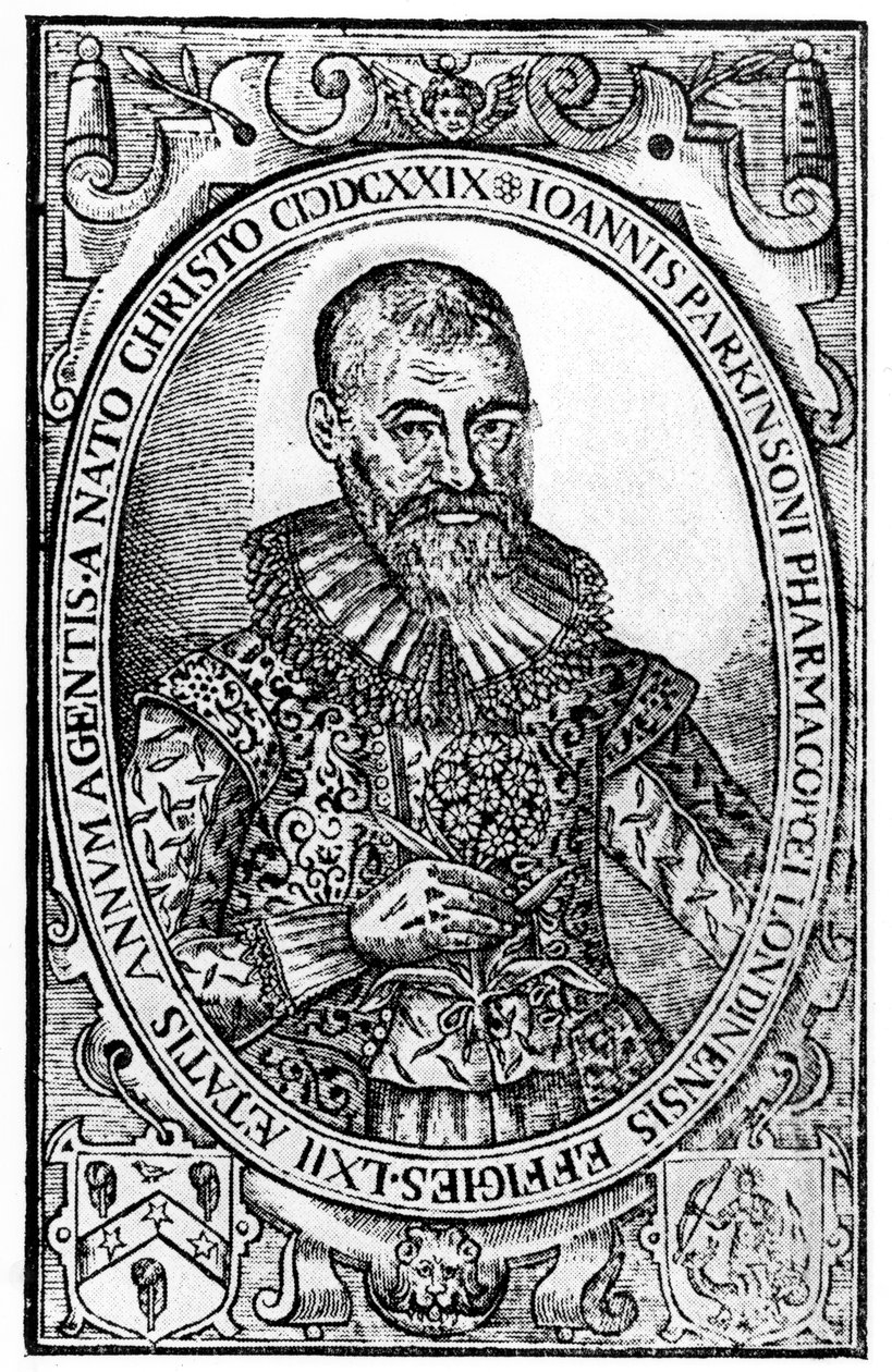 Frontispiece for Paradisi in Sole Paradisus Terrestris autorstwa Johna Parkinsona, opublikowany w 1629 r. autorstwa English School