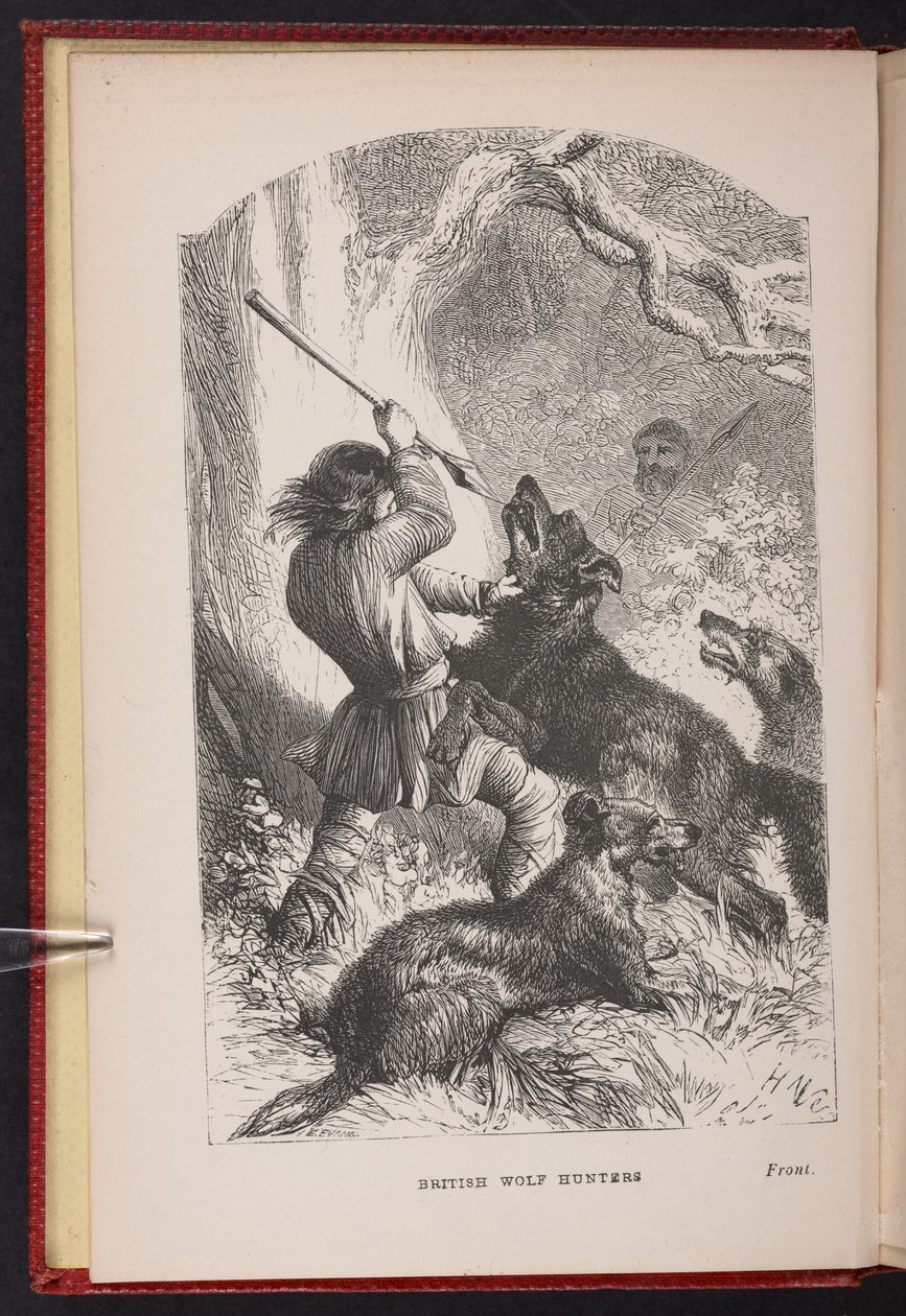 Fronton z The British Wolf-Hunters. Opowieść itp. autorstwa Thomasa Millera autorstwa English School