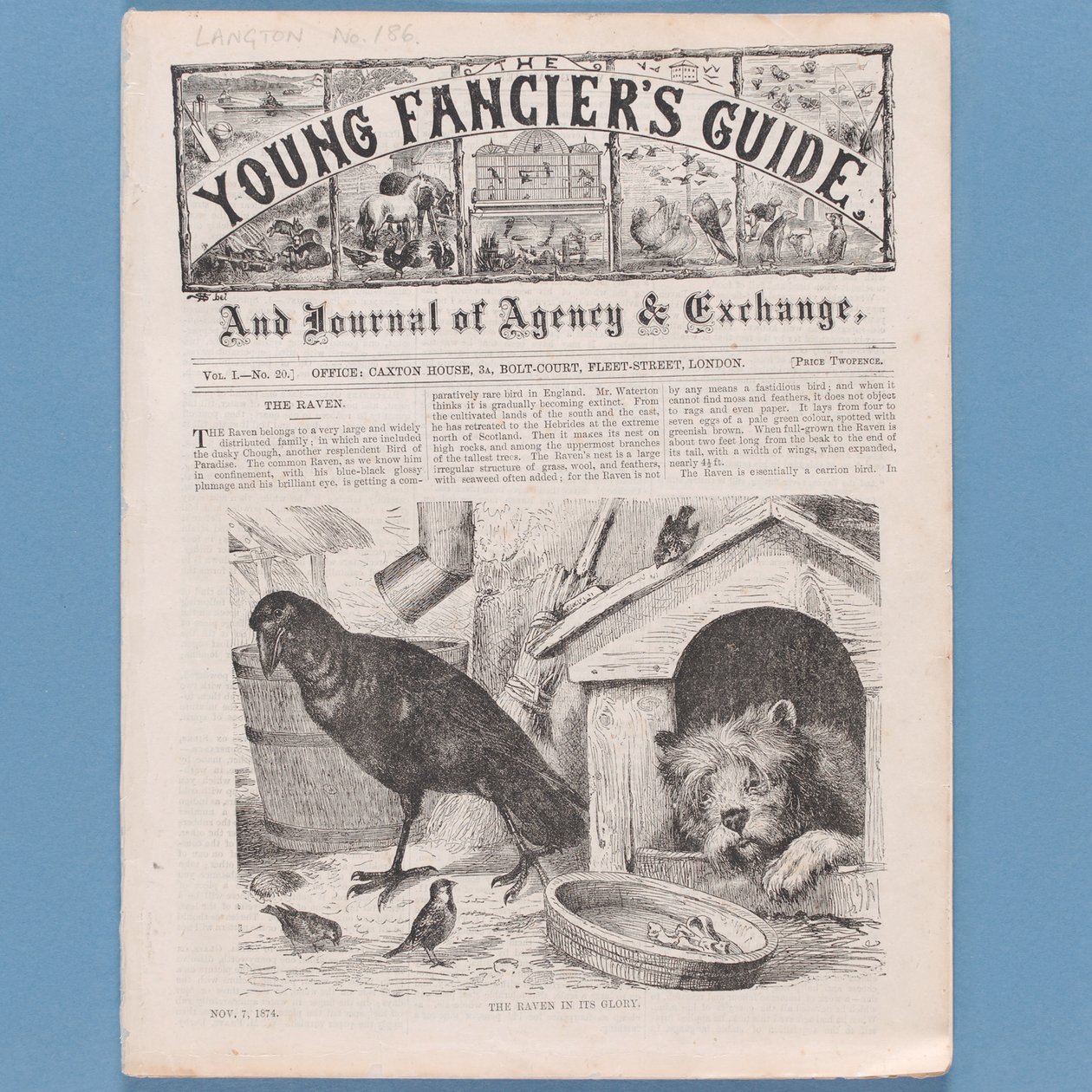 Frontyspis z The Young Fanciers Guide, 1874 (patrz także 315145) autorstwa English School