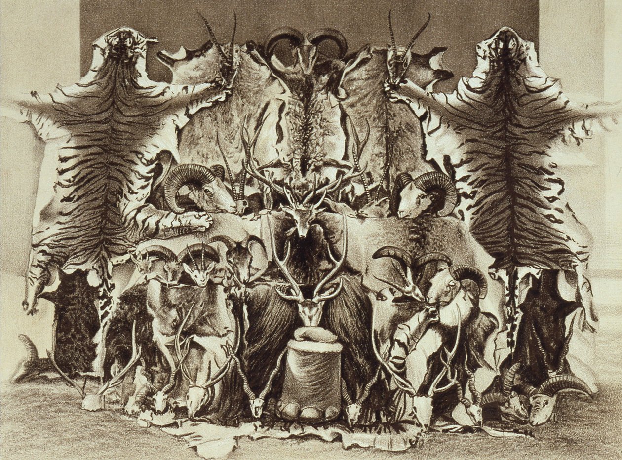 Frontispiece of Large Game Shooting w Tybecie, Himalajach i północnych Indiach, pułkownik Alexander Kinloch, opublikowany 1885 autorstwa English School