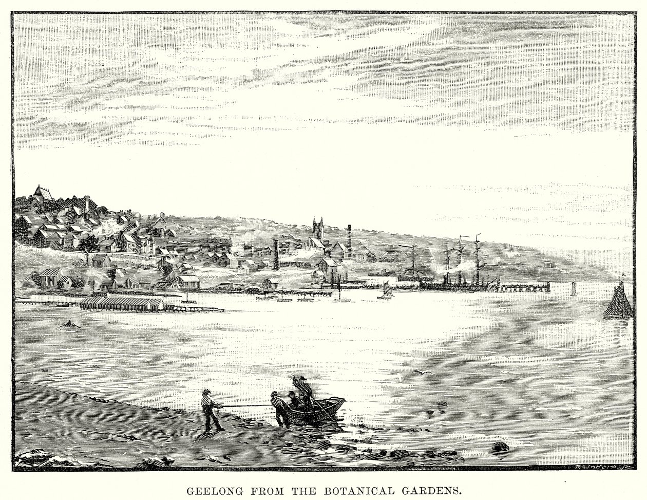 Geelong z ogrodu botanicznego (grawerunek) autorstwa English School