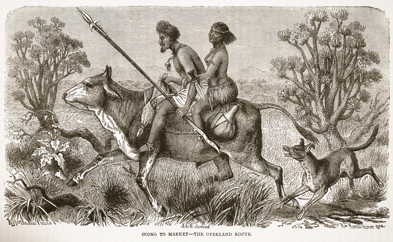 Idąc na targ- trasa lądowa, ilustracja z The Pictorial Edition of the Life and Discoveries of David Livingstone by J. Ewing Richie, wyd. przez A. Fullartona & Co., 1876 autorstwa English School