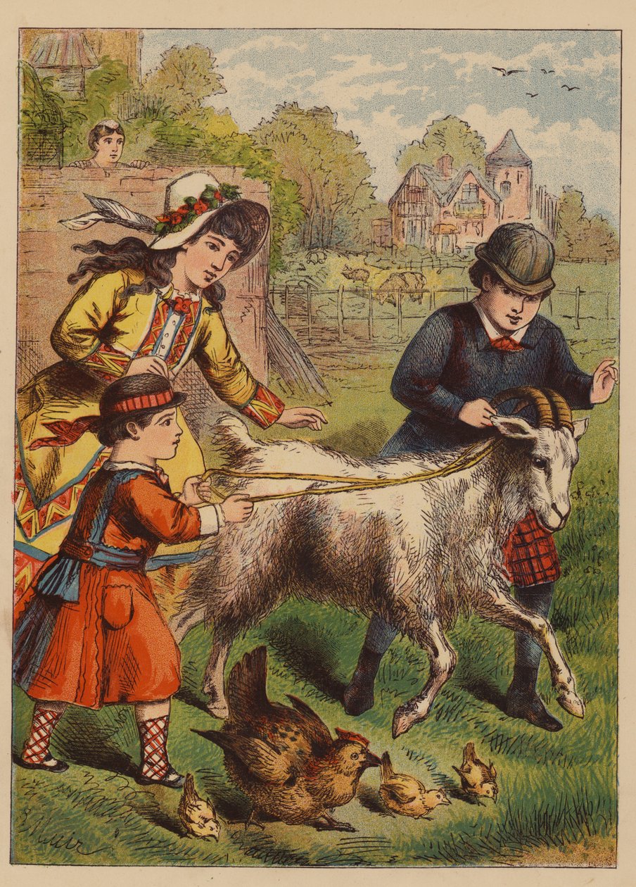 Świetna zabawa (druk kolorowy) autorstwa English School