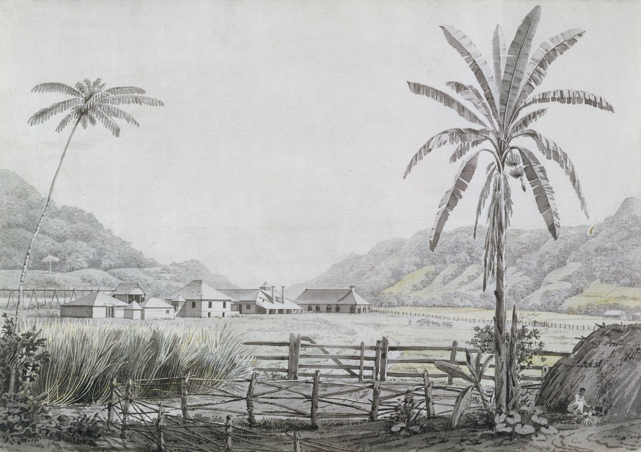 Halse Hall, Jamajka, ok. 1780 (wc i grafit na papierze) autorstwa English School