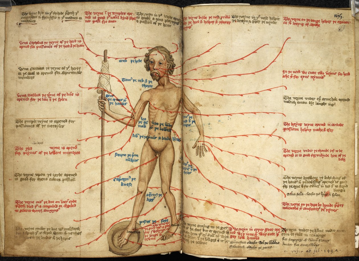 Harley 3719, ff.158v-159 Miniatura mężczyzny upuszczającego krew z jedną nogą na krwawiącej patelni i wrzecionem w dłoni, ilustracja z „Miscellany z różnymi tekstami astronomicznymi, kalendarzowymi, medycznymi i filozoficznymi” autorstwa English School