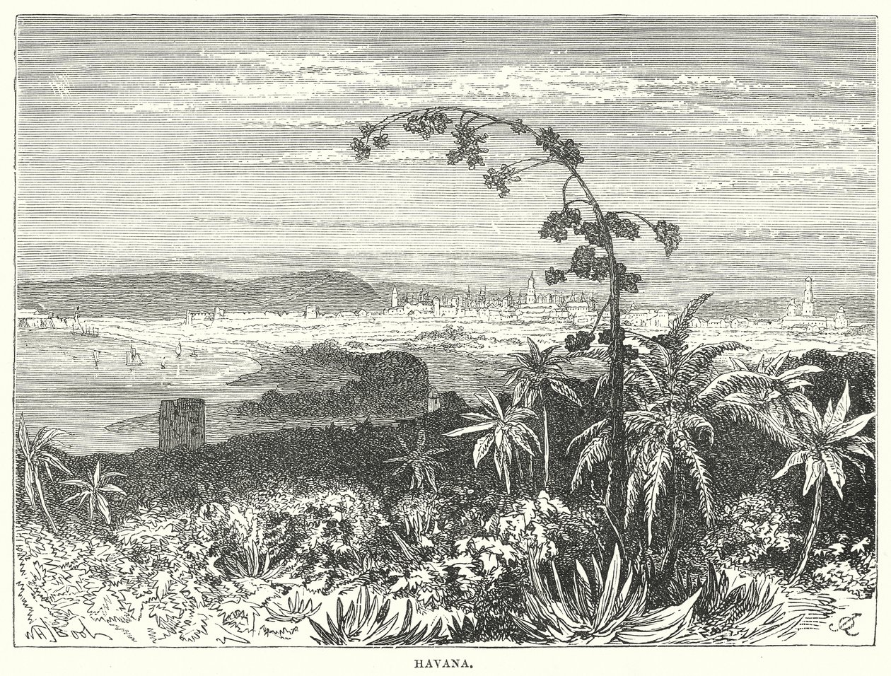 Hawana (grawerunek) autorstwa English School