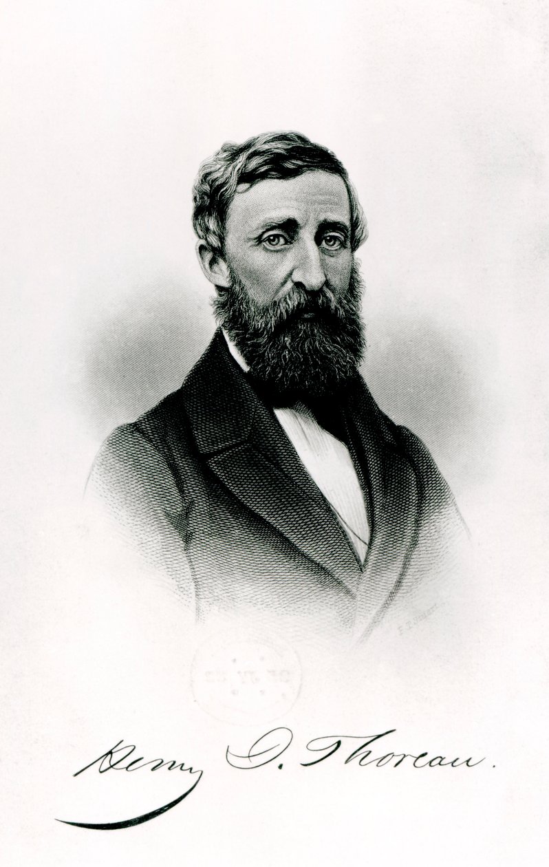 Henry David Thoreau (1817-62) autorstwa English School