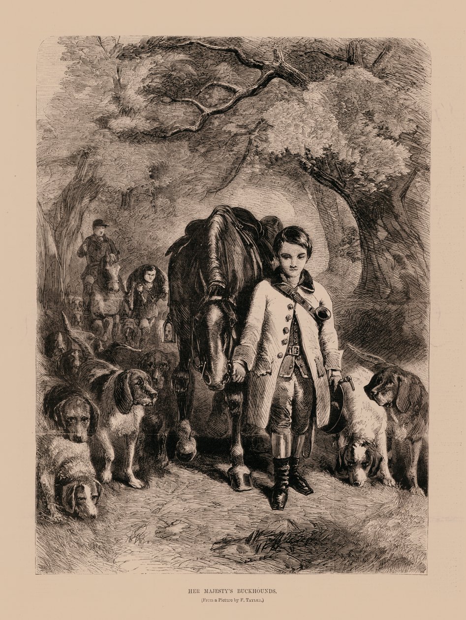 Buckhoundy Jej Królewskiej Mości (grawerunek) autorstwa English School