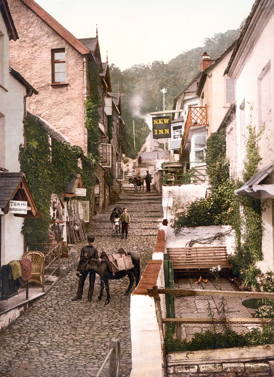 High Street, Clovelly (zdjęcie ręcznie kolorowane) autorstwa English School