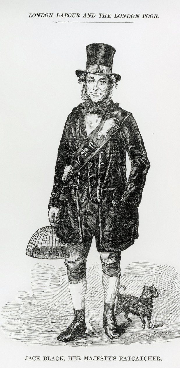 Jack Black, Jej Królewska Mość Ratcatcher, ok. 1840 r. autorstwa English School