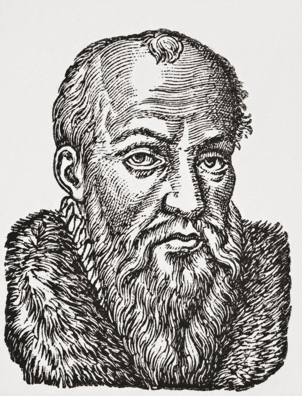 Jacques de Cujas, 1878 (lito) autorstwa English School