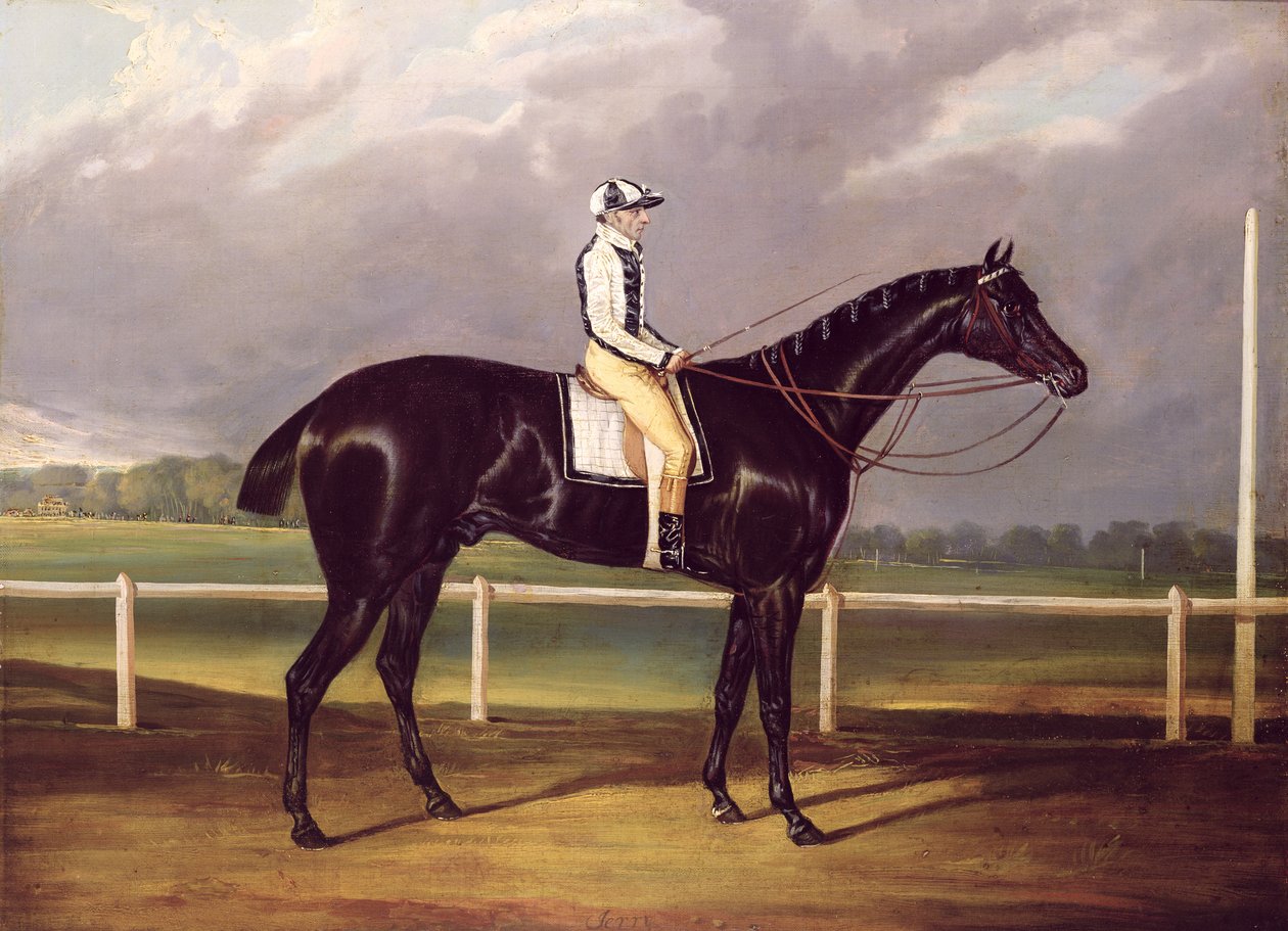 Jerry, zwycięzca St. Leger w 1824 (olej na płótnie) autorstwa English School