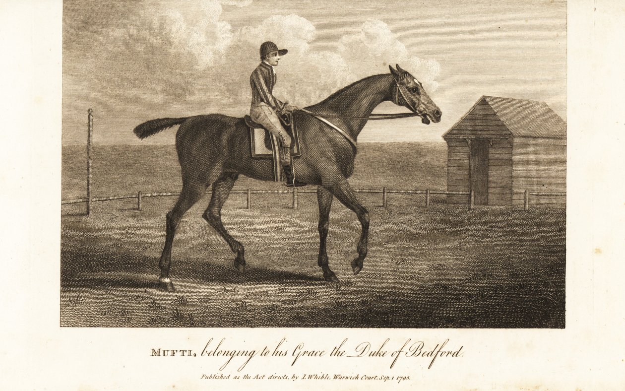 Dżokej na słynnym rasowym wyścigowcu Mufti, należącym do jego Grace the Prince of Bedford autorstwa English School
