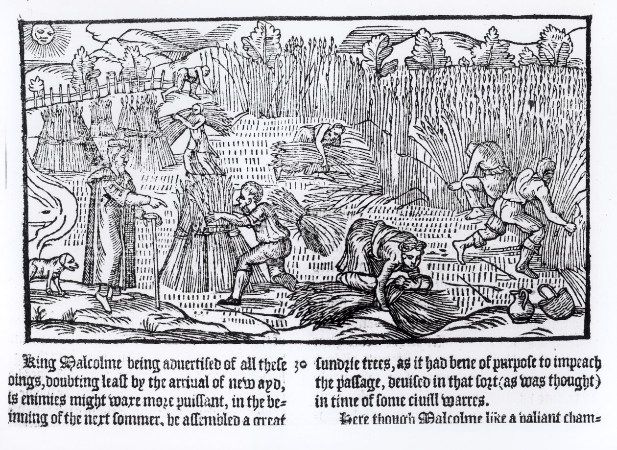 Król Malcolm ze Szkocji obserwuje pracę w rolnictwie, 1586 autorstwa English School