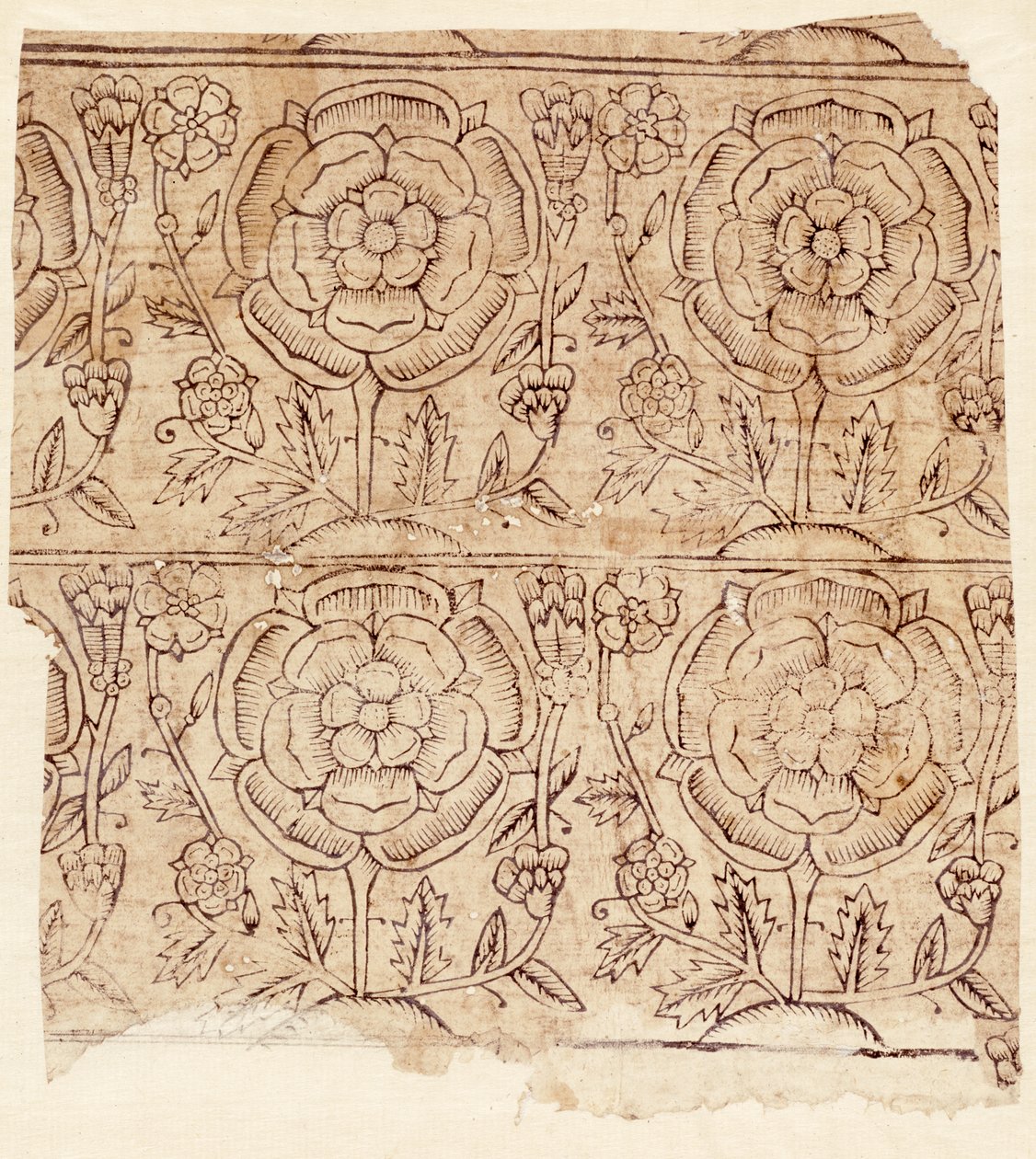 Papier podszewkowy ze wzorem Tudor Rose, ok. 1550 (drewnodruk) autorstwa English School