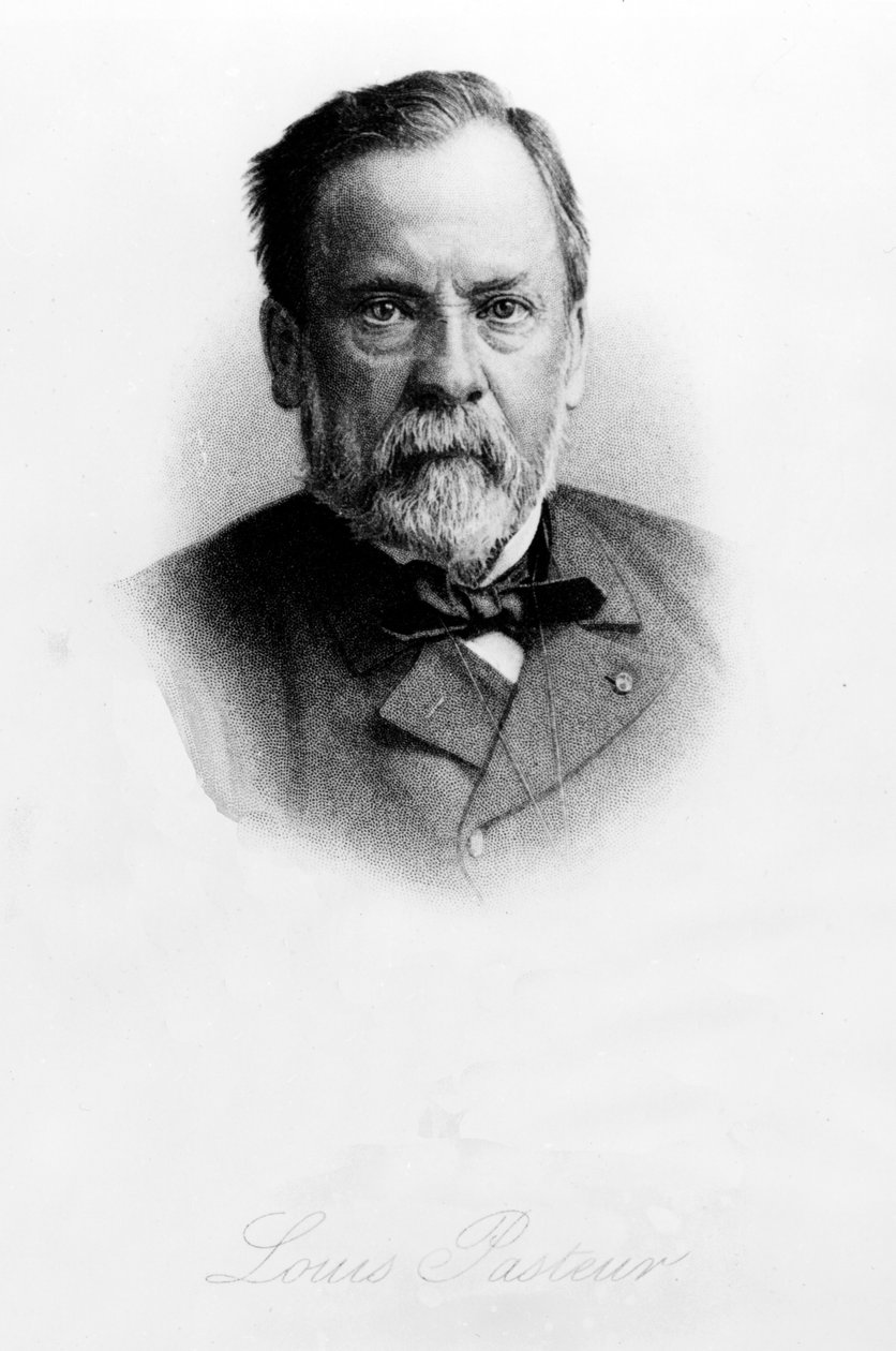 Ludwik Pasteur (1822-95) autorstwa English School