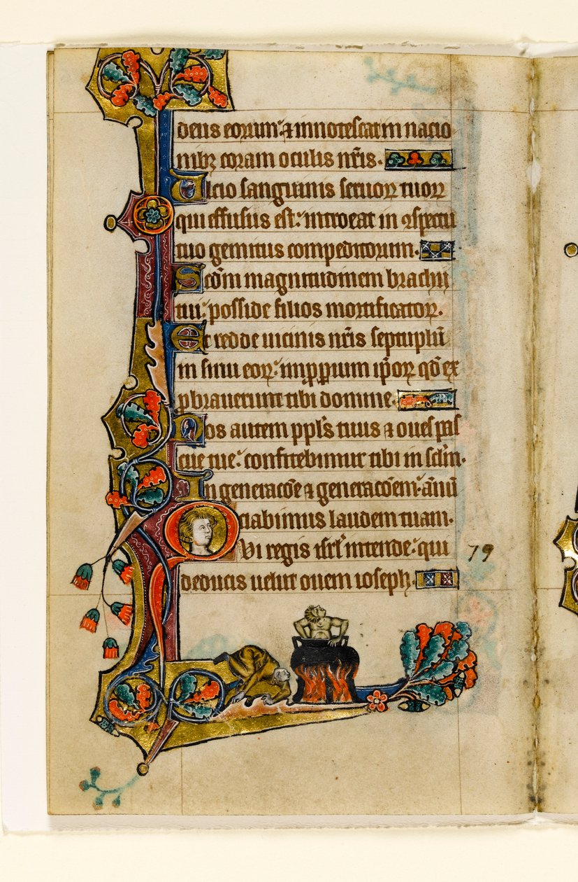 MS 1-2005, k.l. 116v: In the Cauldron, marginalna dekoracja z Psałterza Macclesfielda, Use of Sarum, East Anglia, c.1330 autorstwa English School
