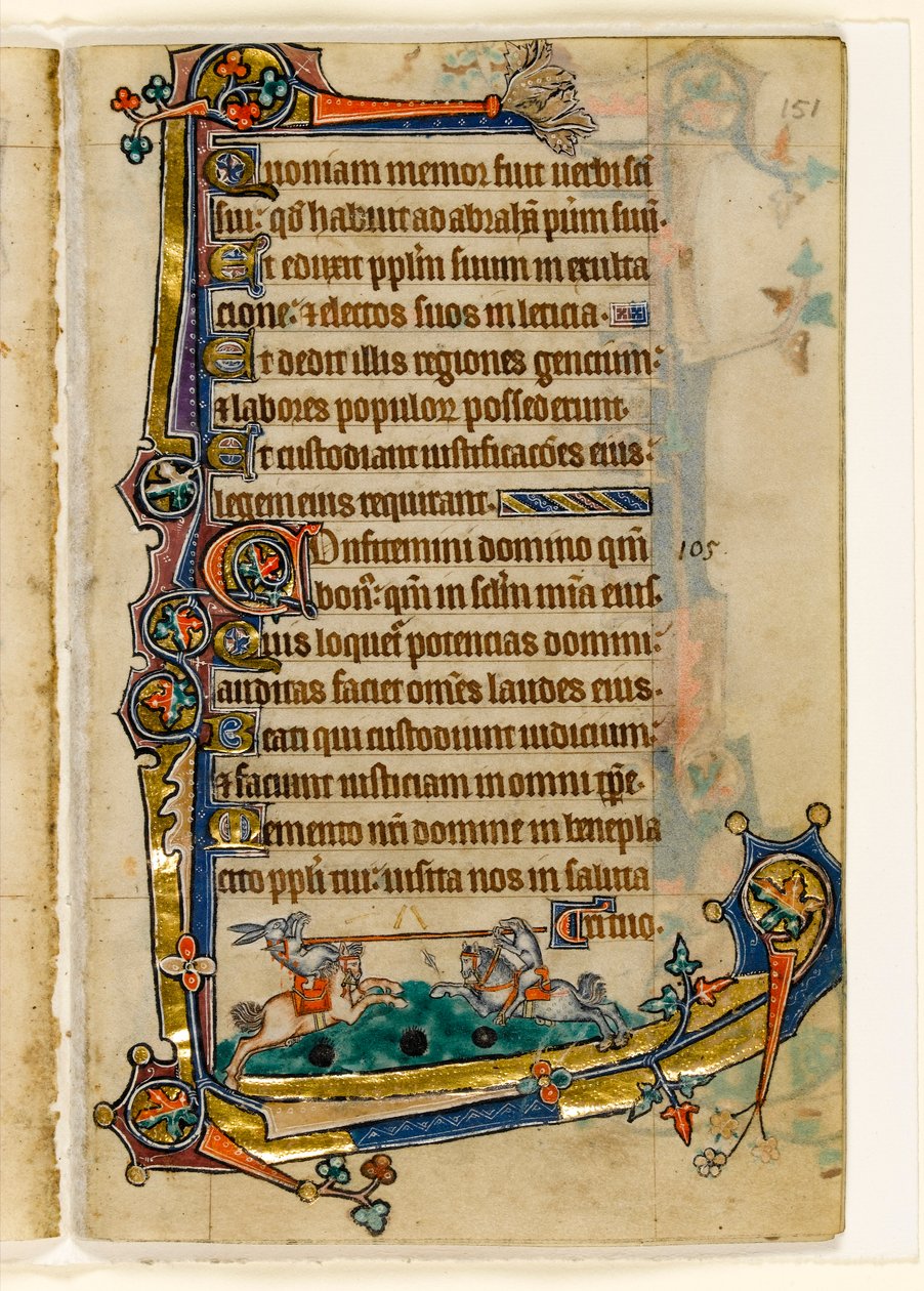 MS 1-2005, k.l. 151r: Potyczka ogarów i królików, marginalna dekoracja z Psałterza Macclesfielda, Use of Sarum, East Anglia, c.1330 autorstwa English School