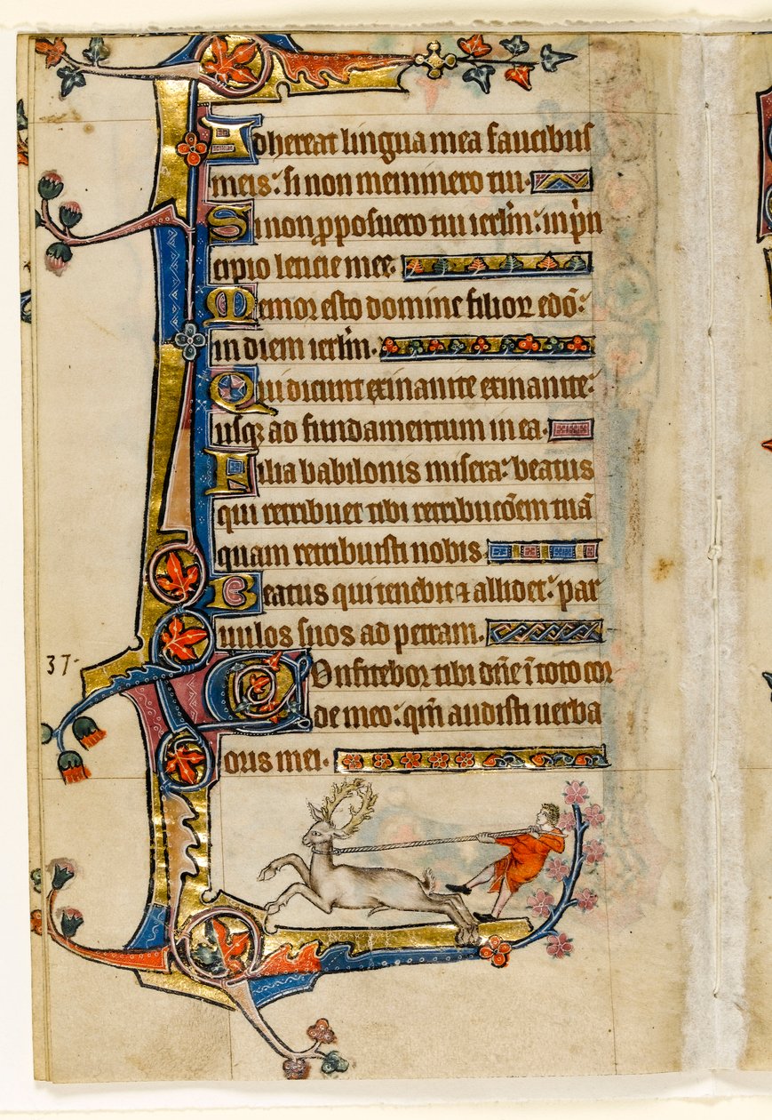 MS 1-2005, k.l. 193v: Jeleń lassoed przez człowieka, marginalna dekoracja z psałterza Macclesfielda, Use of Sarum, East Anglia, c.1330 autorstwa English School