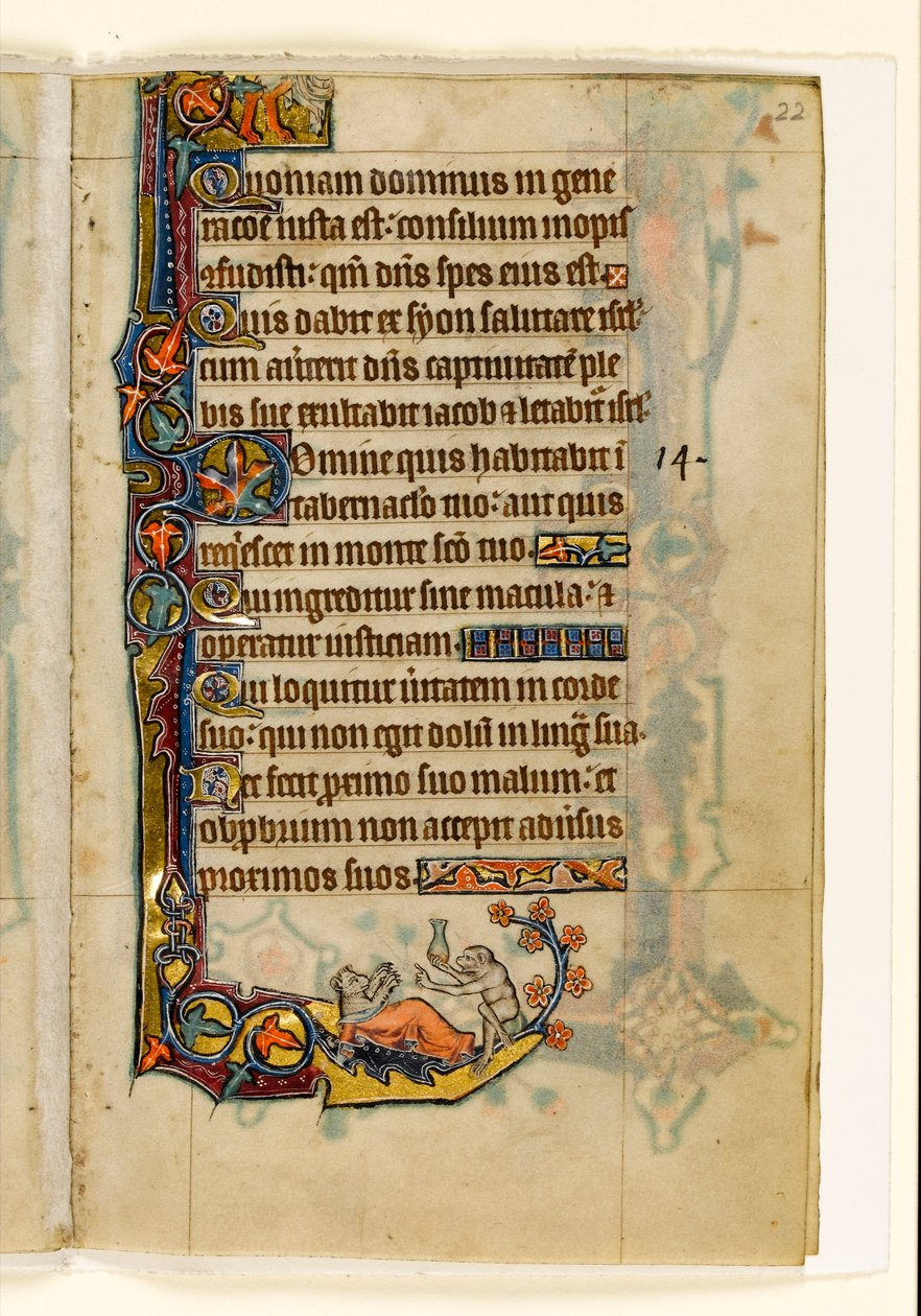 MS 1-2005, k.l. 22r: Doktor małpolud i jego pacjent-niedźwiedź, marginalna dekoracja z psałterza Macclesfielda, Use of Sarum, East Anglia, c.1330 autorstwa English School