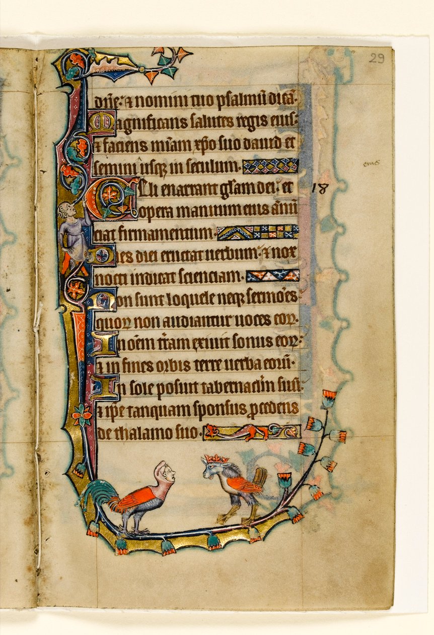 MS 1-2005, k.l. 29r: Dwie ptasie groteski, marginalna dekoracja z psałterza Macclesfielda, Use of Sarum, East Anglia, c.1330 autorstwa English School