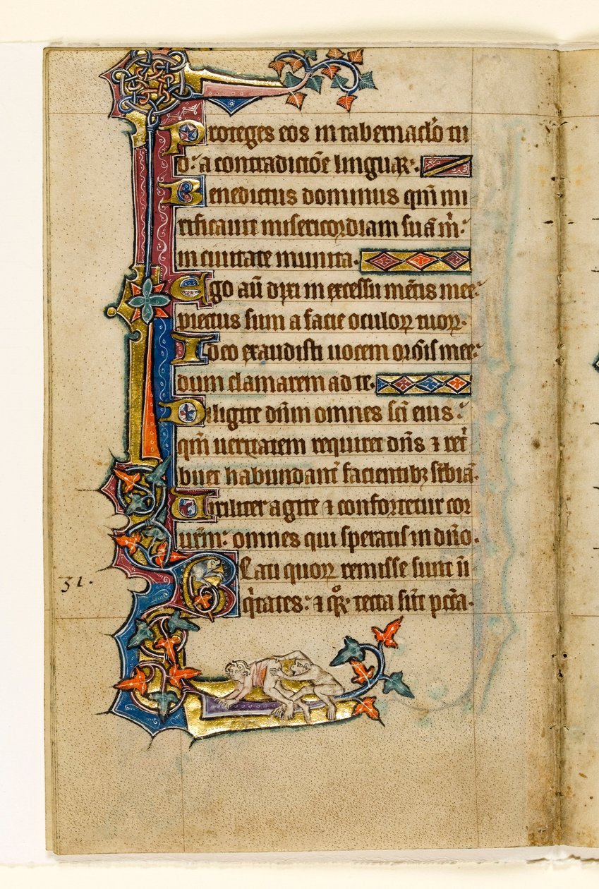 MS 1-2005, k.l. 45v: Małpa zaglądająca w Mans Bottom, marginalna dekoracja z Psałterza Macclesfielda, Use of Sarum, East Anglia, c.1330 autorstwa English School