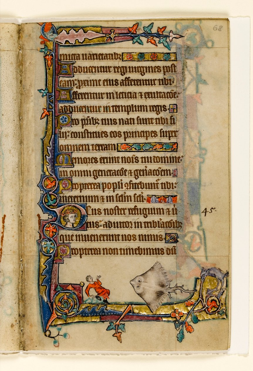 MS 1-2005, k.l. 68r: The Giant Skate, marginalna dekoracja z Psałterza Macclesfielda, Use of Sarum, East Anglia, c.1330 autorstwa English School