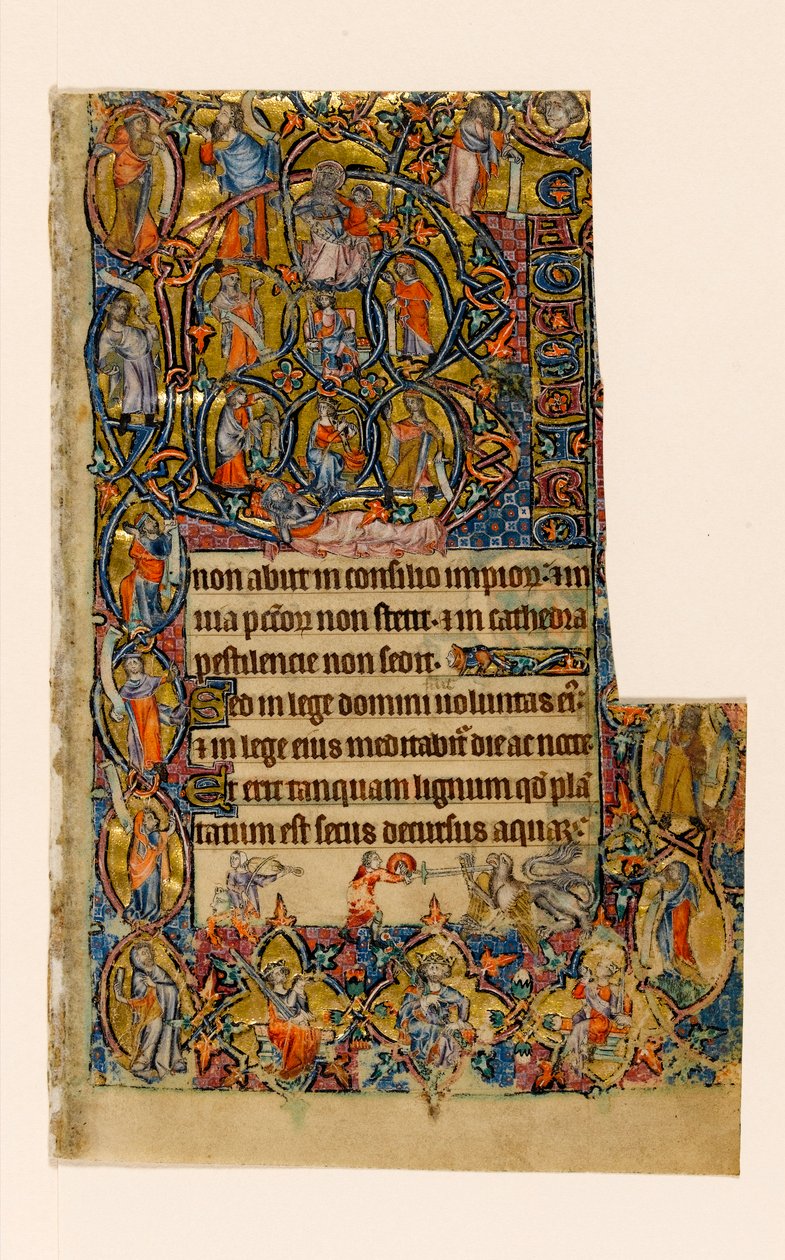 MS 1-2005, k.l. 9r: Drzewo Jessego i Beatus początkowa granica z muzyką i groteskową walką, z Psałterza Macclesfielda, Use of Sarum, East Anglia, c.1330 autorstwa English School