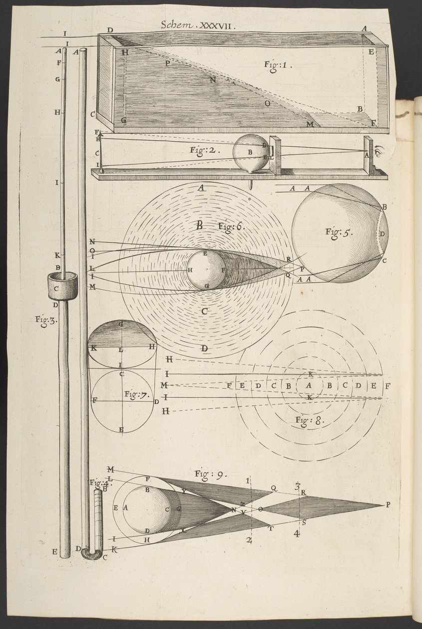Micrographia lub niektóre fizjologiczne opisy drobnych ciał wykonanych przez szkła powiększające, z obserwacjami i zapytaniami na ich temat”, Robert Hooke autorstwa English School