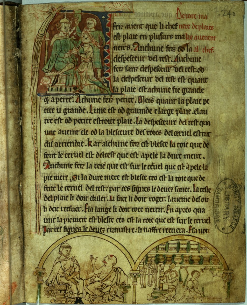 Pani O.1.20.f.241v Jerome: Lekarz odwiedzający pacjenta i aptekarz, z „De Nominibus Herbraicis” (welum) autorstwa English School