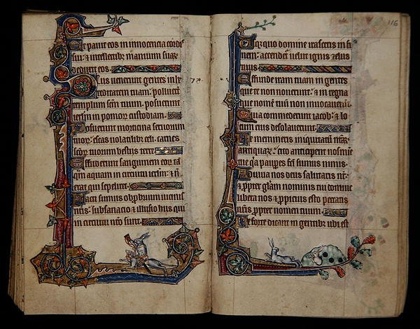 Ms 1-2005, ff.115v-116r: polowanie na królika jadącego na psie, marginalna ozdoba z psałterza Macclesfield, Use of Sarum, East Anglia, c.1330 (welum) autorstwa English School