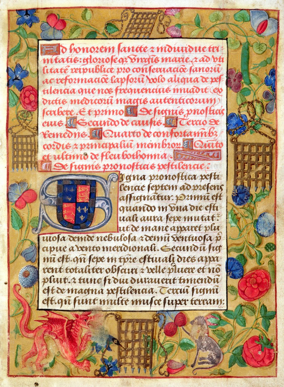 Ms 261 fol.1r Strona ze zbioru traktatów o zarazie po łacinie i angielsku, ok. 1500 autorstwa English School