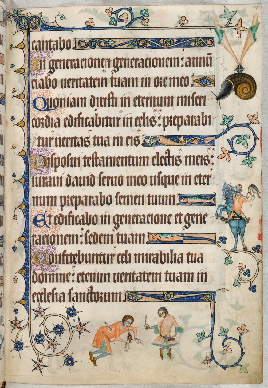 Pani Dod. 42130, f.159 Sokolnik, z „Psałterza Luttrella”. ok. 1325 (welum) autorstwa English School