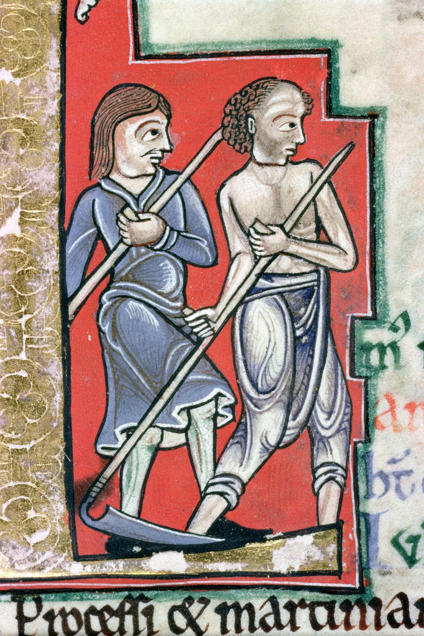 Pani Hunter 229 f. 4r Mowing, z psałterza Huntera, ok. 1170 (pióro i atrament oraz tempera na welinie) (szczegół) autorstwa English School