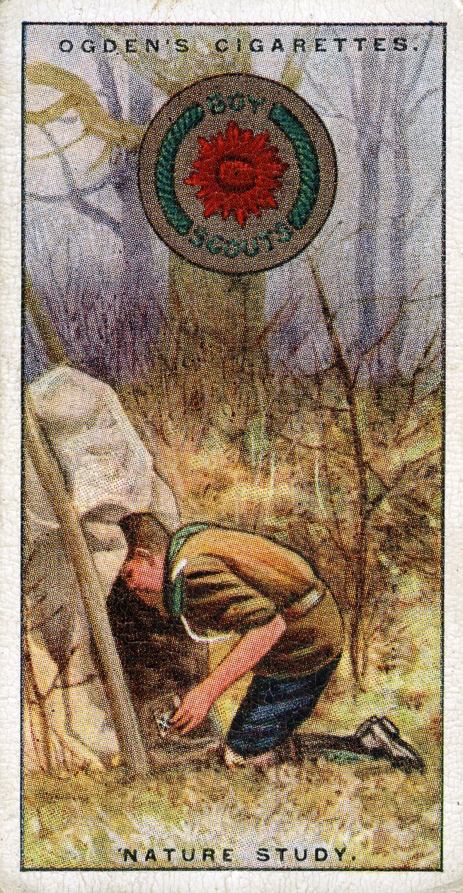 Odznaka Nauki Przyrody dla Harcerzy, Harcerz wchodzący do kryjówki, 1929 autorstwa English School