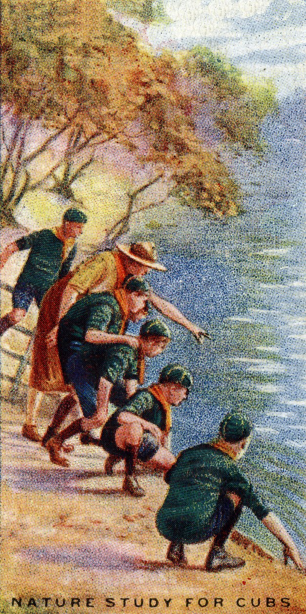 Studium przyrodnicze dla młodych, 1929 autorstwa English School