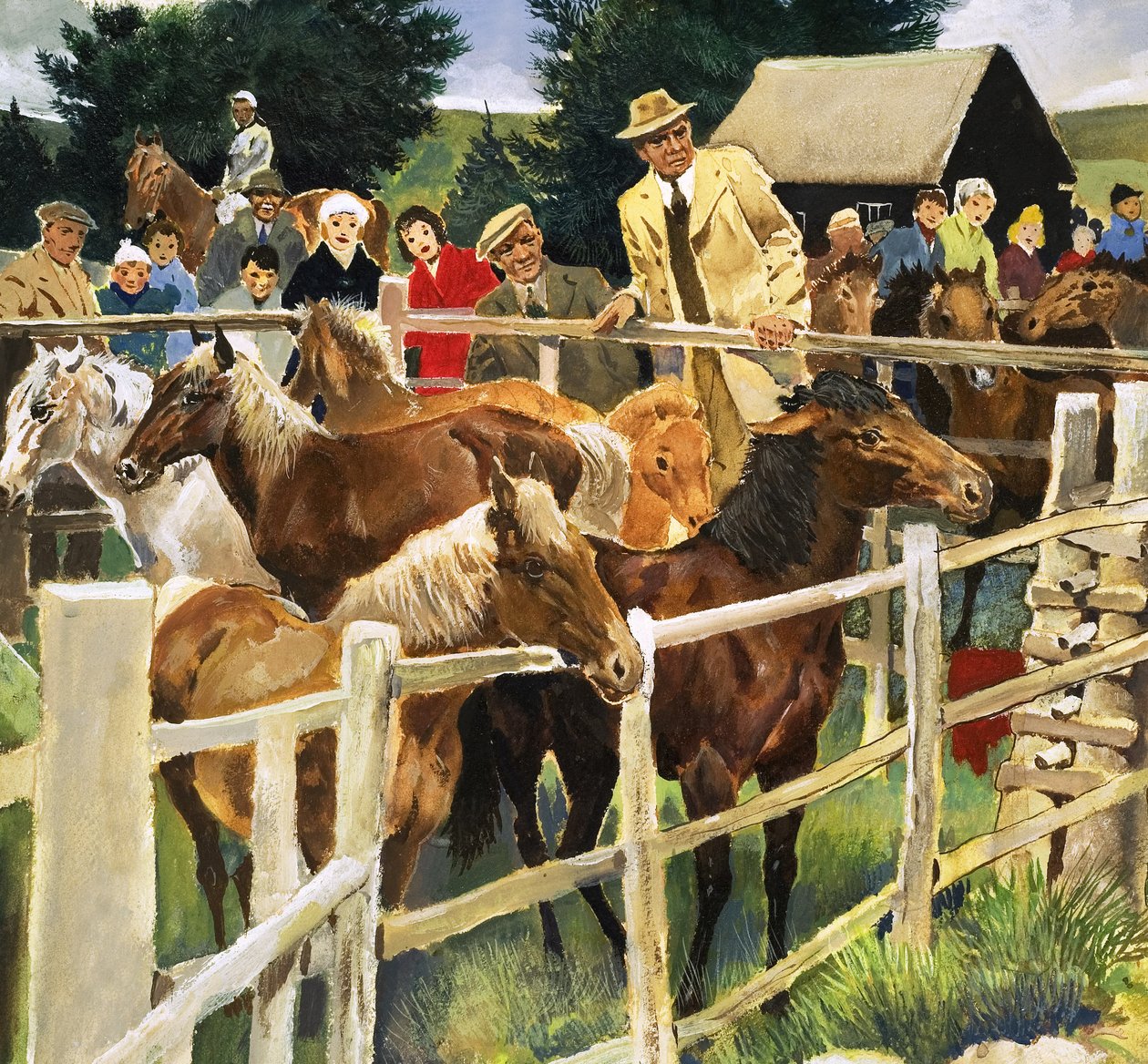 Kuce New Forest na sprzedaż, ilustracja z "Cudów natury autorstwa English School